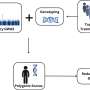 Multiple genetic variants could predict who benefits from alcohol addiction drug