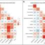 Autism and ADHD have distinct brain connectivity signatures, study finds