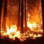Wildfire smoke may silently threaten heart health far beyond fire zones