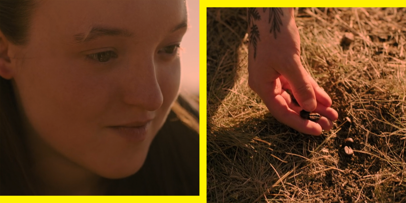 The Real Reason Why Ellie Put Coffee Beans on Joel’s Grave in The Last of Us