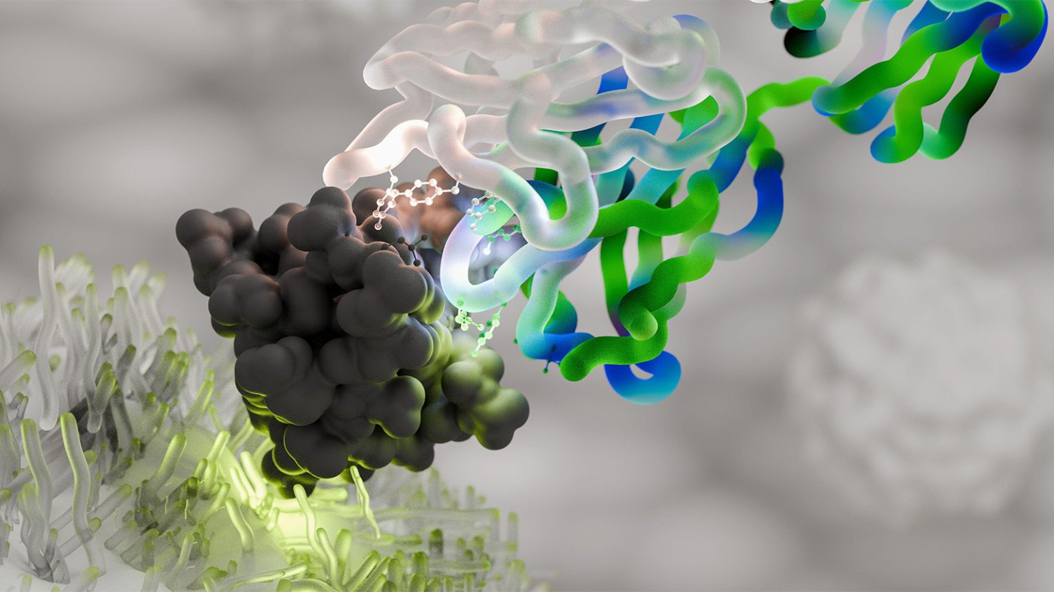 RA Doesn’t Diminish Checkpoint Inhibitors’ Survival Benefit