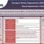 New guideline addressed visual impairment after stroke