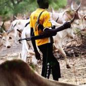 BREAKING: Armed Herdsmen Attack Another Benue Community 48 Hours After Tinubu’s Visit