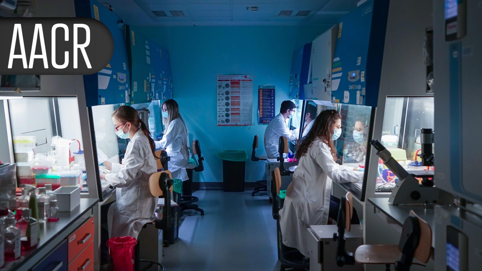 Targeting Novel Immune Checkpoint Shows Promise in Metastatic CRC