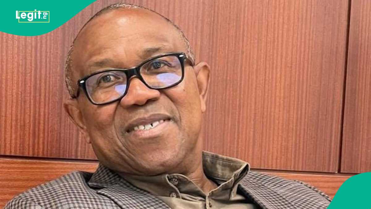Three alternatives Peter Obi can explore to contest 2023 elections
