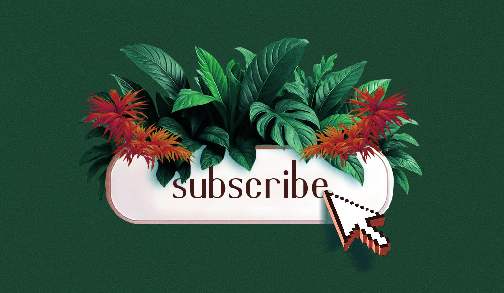 How publishers like Texas Monthly and Axios turn engagement data into revenue