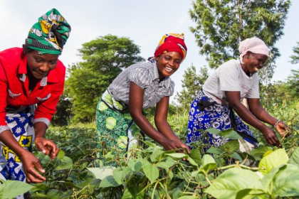 Kenya’s Farmer Lifeline, Pollen Patrollers & Solar Freeze Among Startups Shortlisted for Qualcomm Make in Africa 2025 