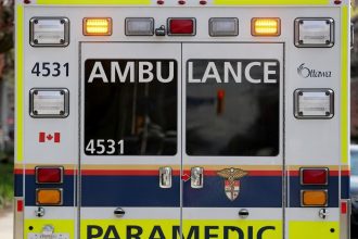 Body found in Ottawa River near Alexandra Bridge