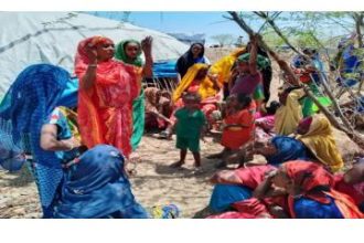 WHO and partners mobilize health support amid seismic activity