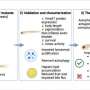 Zebrafish model for an ultra-rare genetic disease reveals two promising drug candidates