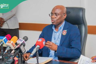 Why anti-open grazing law isn’t working in popular northern state, APC governor explains