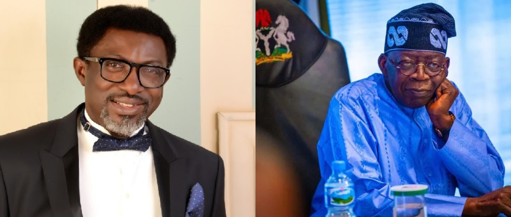 Where Is President Tinubu? – Atiku’s Aide Ibe Raises Concern