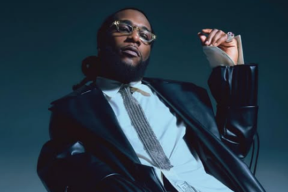 Born Winner Lyrics by Burna Boy