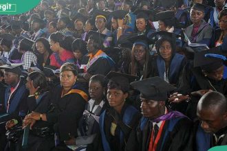 Subjects and cut-off mark for Estate Management and where to study the course