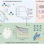 Evolutionary model for antibiotic resistance reveals dose timing critical to care