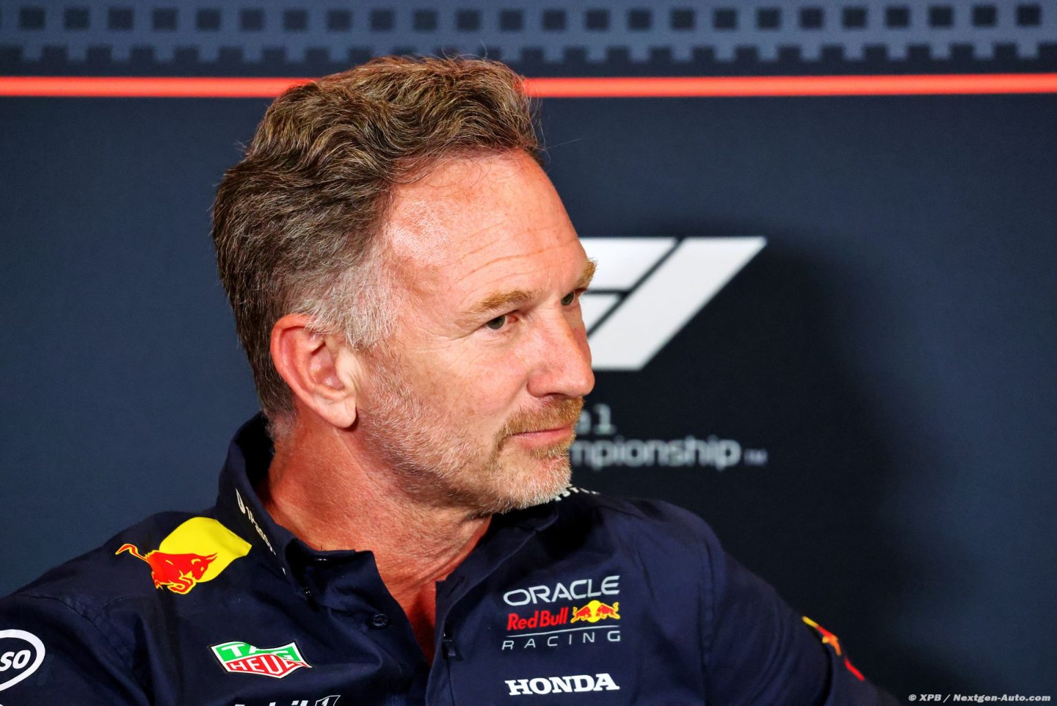 Horner responsible for own Red Bull demise