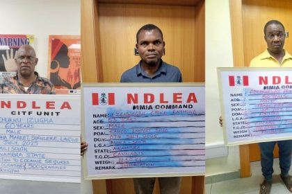 NDLEA arrests drug kingpin, intercepts 722,875 opioid pills, cocaine in Lagos
