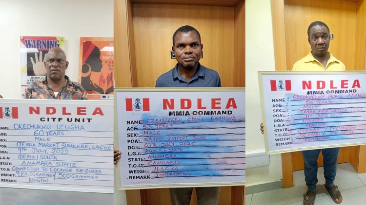 NDLEA arrests drug kingpin, intercepts 722,875 opioid pills, cocaine in Lagos