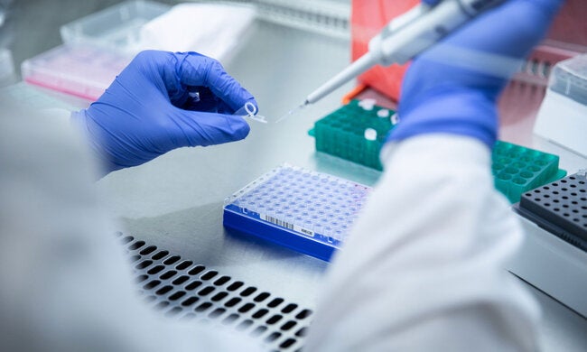 Eastern Caribbean launches regional project to strengthen pandemic preparedness and response