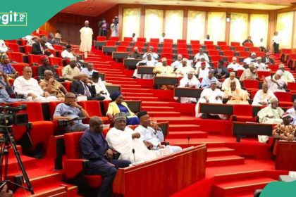 Senate finally breaks silence on creation of 31 new states