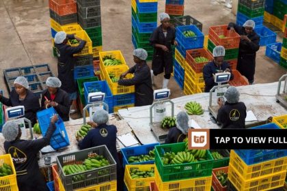 Twiga Foods halts Nairobi operations, considers new locations for distribution hub 