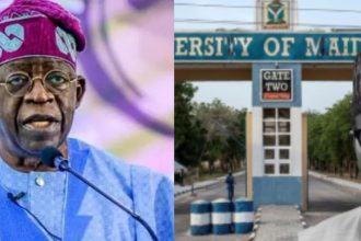 Academic Slams Tinubu for Renaming UNIMAID After Buhari