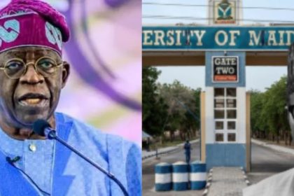 Academic Slams Tinubu for Renaming UNIMAID After Buhari