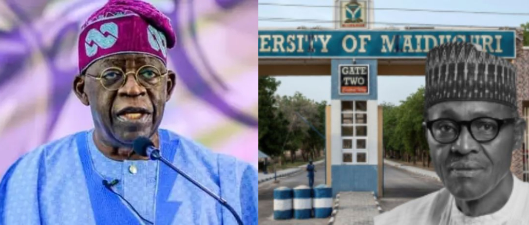 Academic Slams Tinubu for Renaming UNIMAID After Buhari