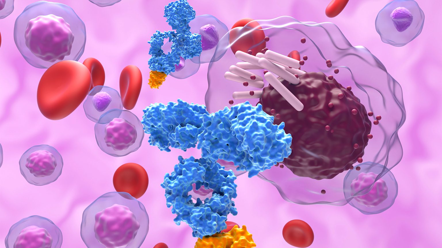 Monotherapy for CLL