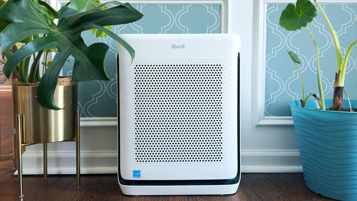The best smart air purifiers of 2025: Expert tested and reviewed