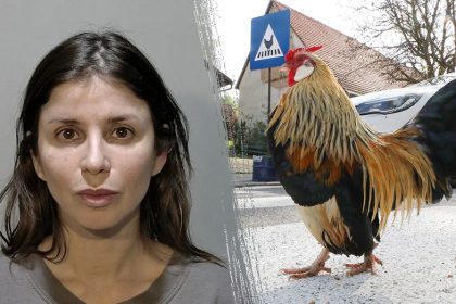 Fowl play: Florida woman charged after allegedly spraying mace at driver who struck chicken crossing the road