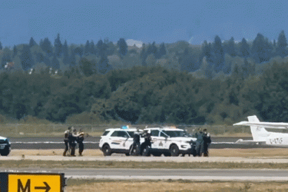 Pilot with ‘ideological motive’ steals small aircraft and disrupts major international airport operations