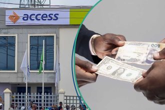 See more as Access Bank buys another bank, secures more customers