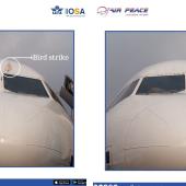 BREAKING: Bird Strike Forces Air Peace Lagos-Enugu Flight To Return Mid-Air
