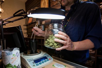 Cannabis-CVD Link Holds Strong Amid Changing Drug Laws, User Habits