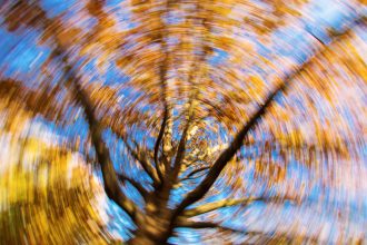 19 Possible Causes of Random Dizzy Spells Throughout the Day—and When to Worry