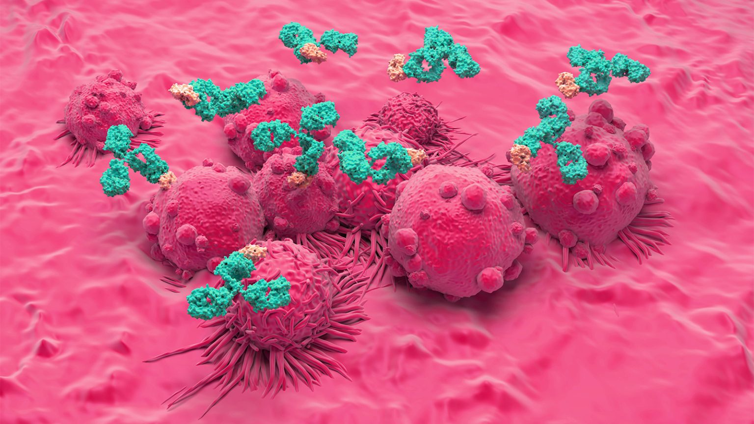 Doublet Shows Activity in Rare, Aggressive Kidney Cancer