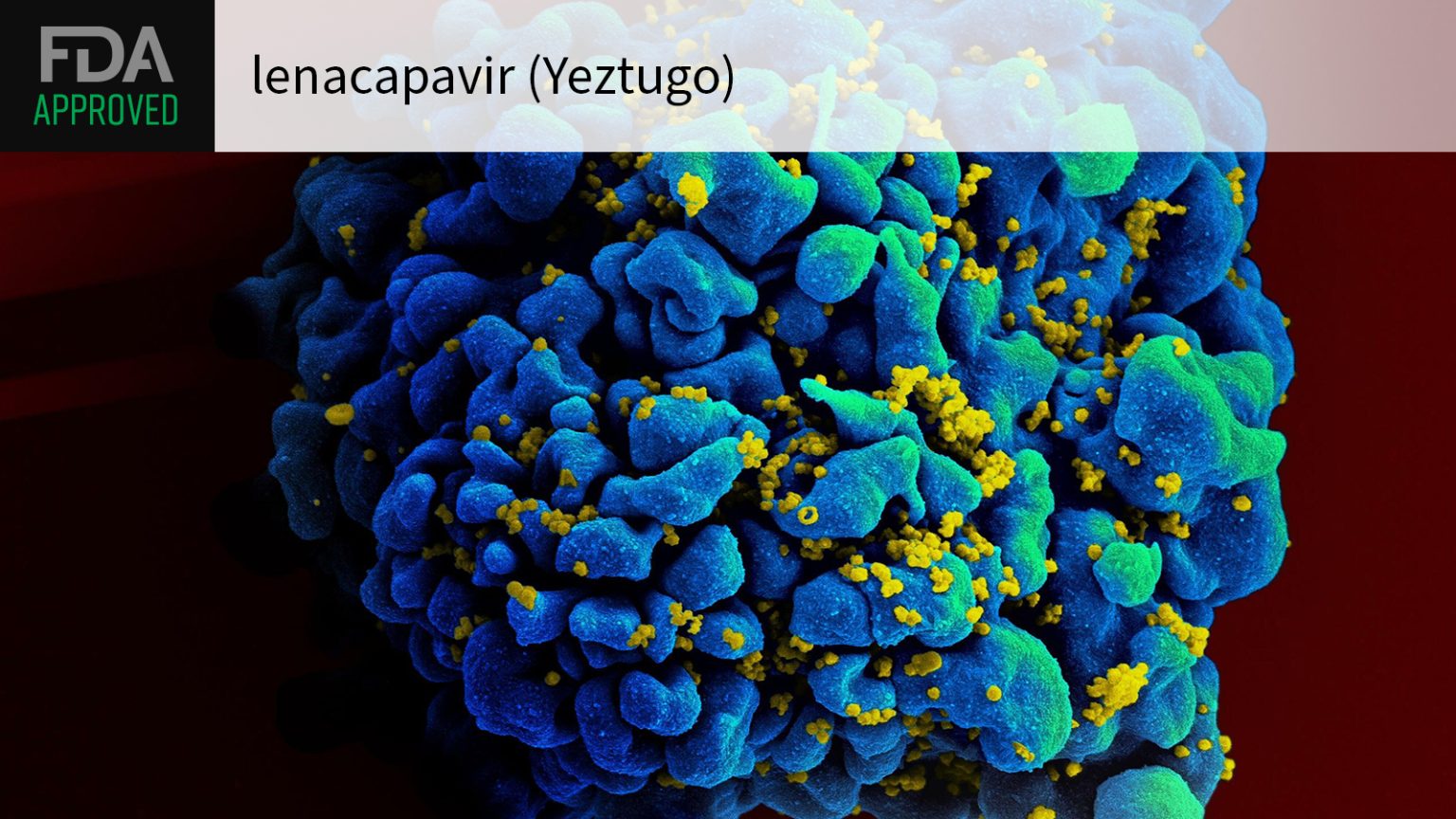 FDA Approves Twice-Yearly Shot for HIV Prevention