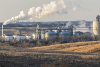 Biofuels policy has been a failure for the climate, new report claims