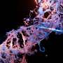 Computational tool exposes hidden cancer DNA changes that may drive treatment resistance