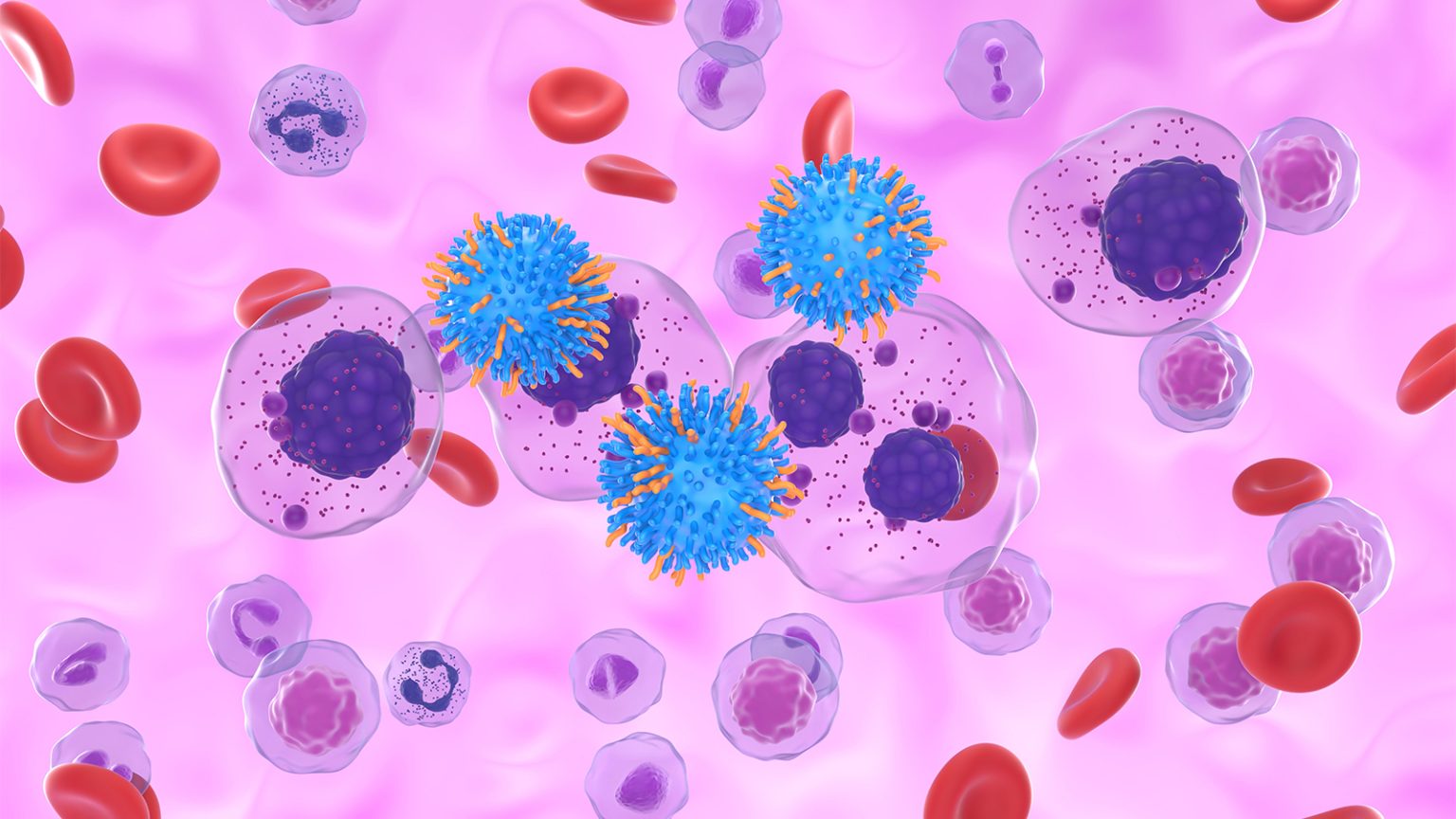 CAR-T for Multiple Myeloma: How to Choose Between Therapies?