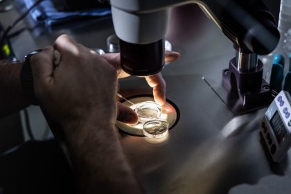 California’s Much-Touted IVF Law May Be Delayed Until 2026, Leaving Many in the Lurch