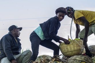$93 million in aid to fight malnutrition headed to 12 African countries, Haiti, State Dept says