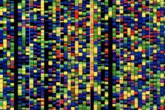 Google’s new AI will help researchers understand how our genes work