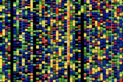 Google’s new AI will help researchers understand how our genes work