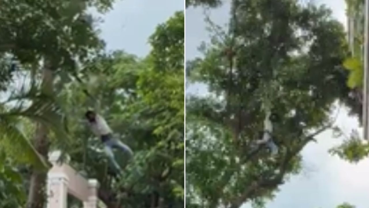 Drunk man falls from tree while stealing jackfruit in Bengaluru, injured