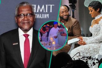 Video of Dangote and pretty lady’s interaction at Davido’s wedding gets people talking