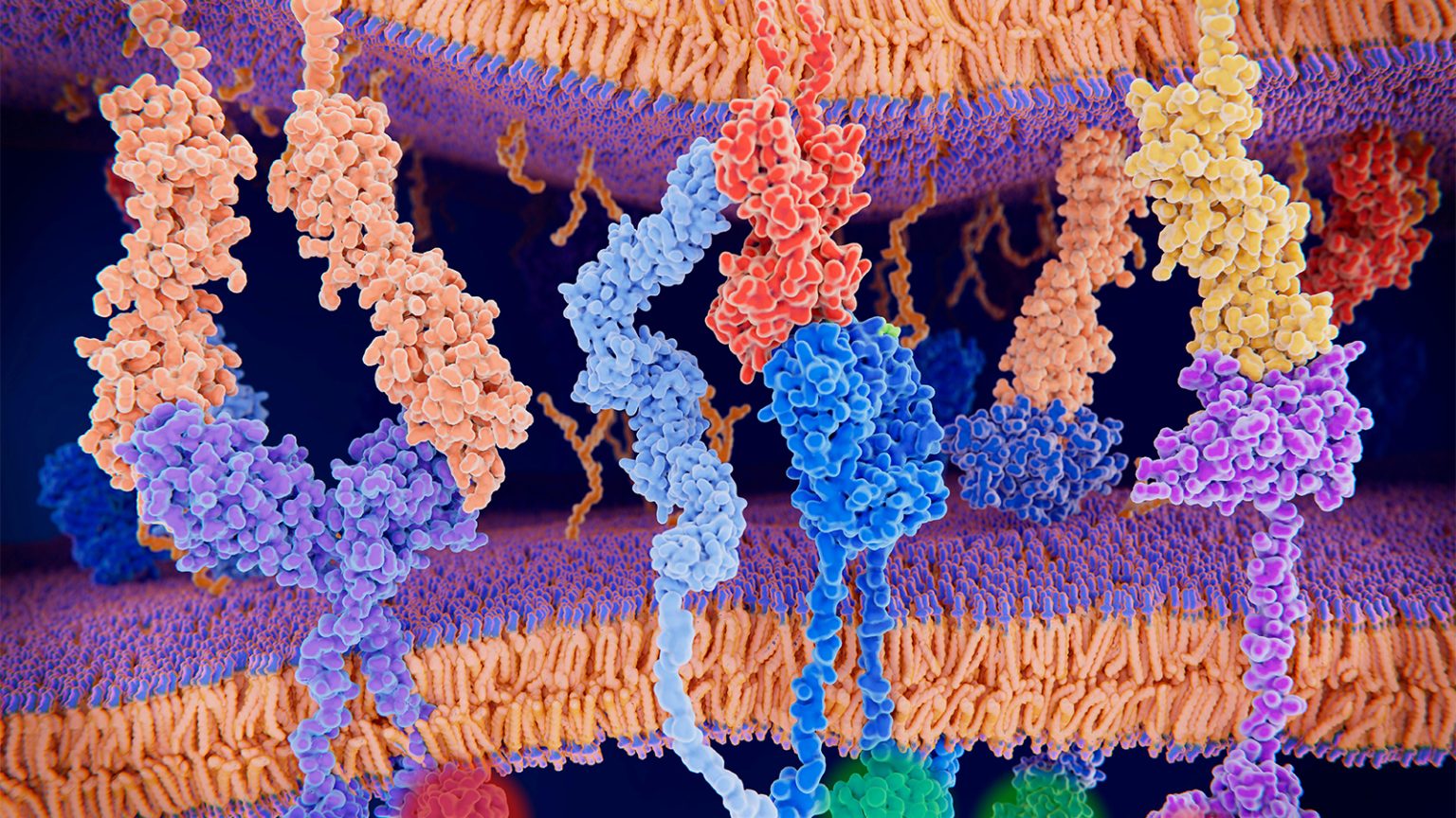 RSV Vaccine Tied to Lower Dementia Risk