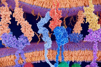 RSV Vaccine Tied to Lower Dementia Risk
