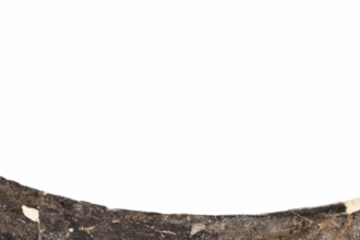 A mammoth tusk boomerang from Poland is 40,000 years old